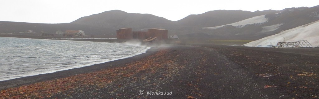 Highlight bei Reisen in die Antarktis: Deception-Island, südliche Shetlandinseln