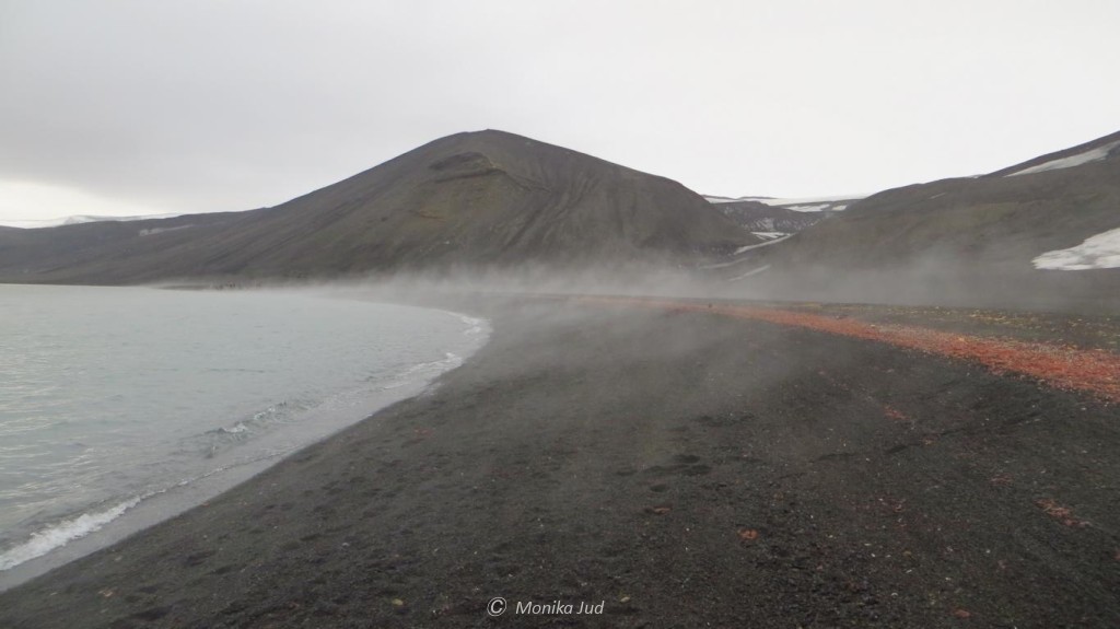 Dampf über dem heißen Strand - Pendulum Cove auf Deception Island