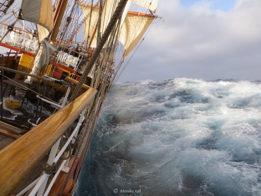 Antarktis unter Segeln - auf und ab in rauer See