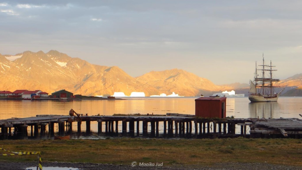Bark Europa vor Anker in Grytviken