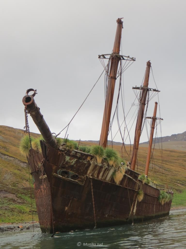 Dreimaster-Wrack in der Bucht von Ocean Harbour - es ruht hier seit über 100 Jahren