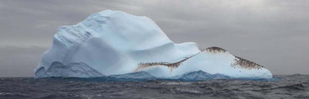 21.März, zurück im Antarctic Sound