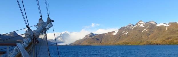 31. März, Fortuna Bay, Shackleton Walk, Walfängerstation Stromness Bay