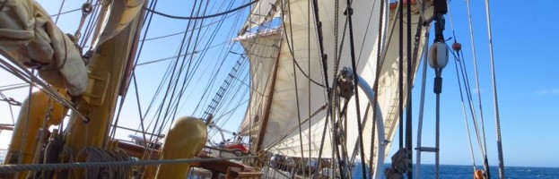 22. bis 29. März , Scotia Sea, Überfahrt nach Südgeorgien