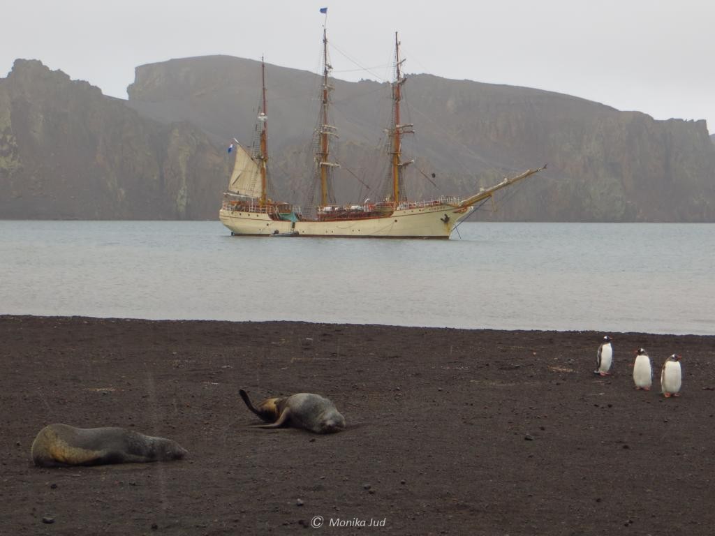 Bark Europa in der Whalers Bay auf Deception Island