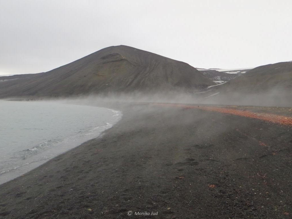 Dampf über dem heißen Strand - Pendulum Cove auf Deception Island