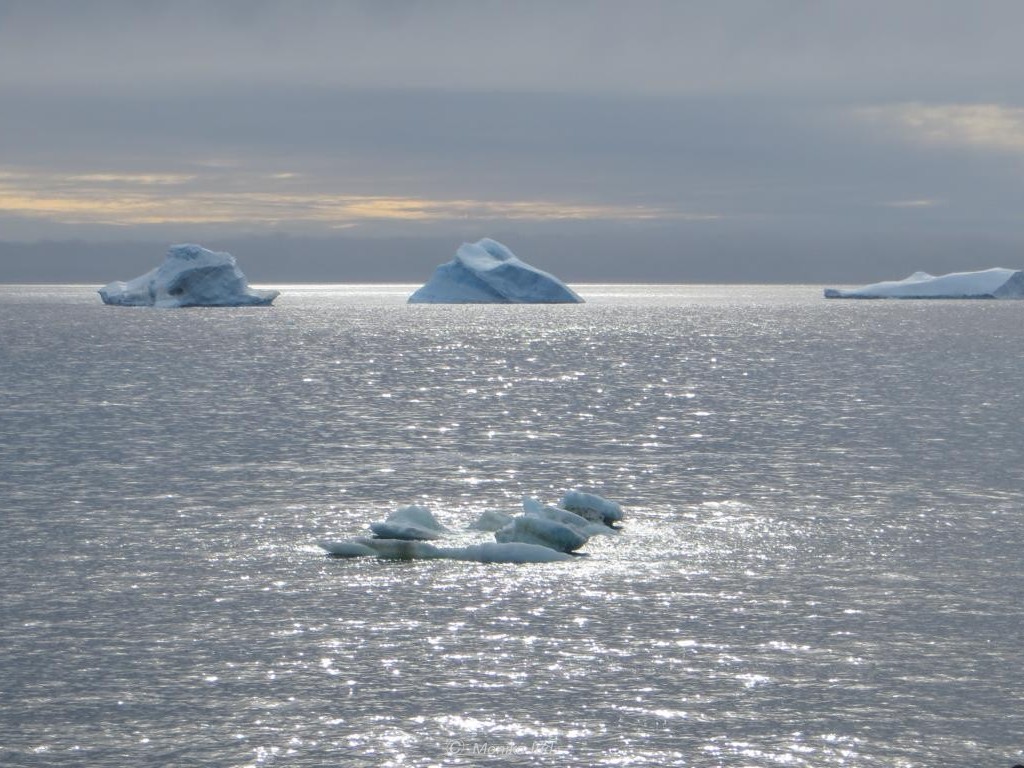 Eisberge im Sonnenlicht im Weddell-Meer