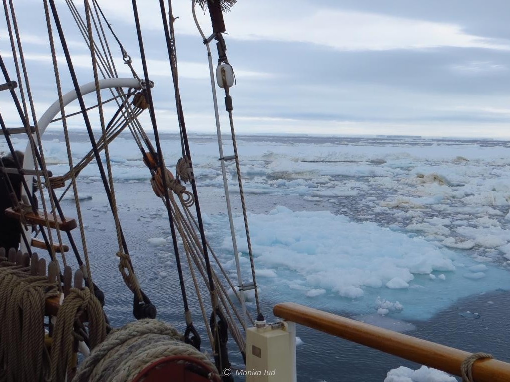 Eisschollen dicht um die Bark Europa