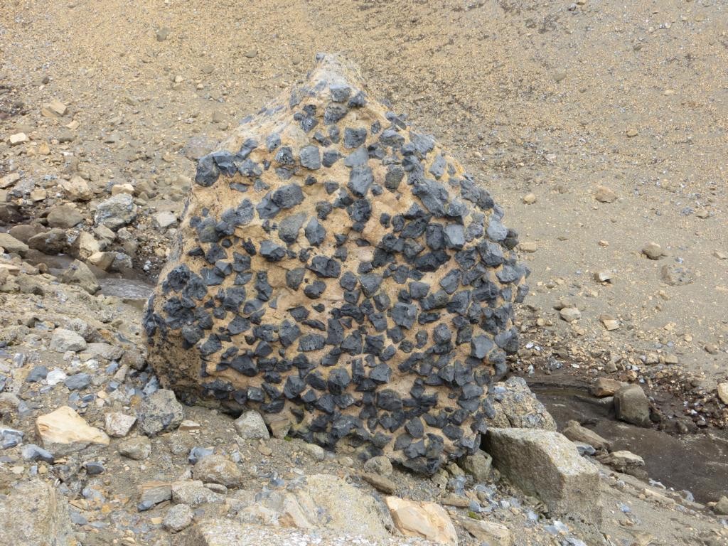 Brown Bluff - seltene Gesteine