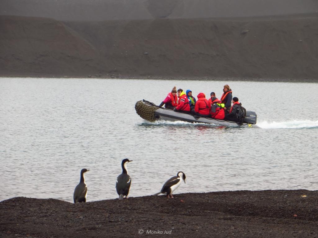 Schlauchbootlandung auf Deception Island