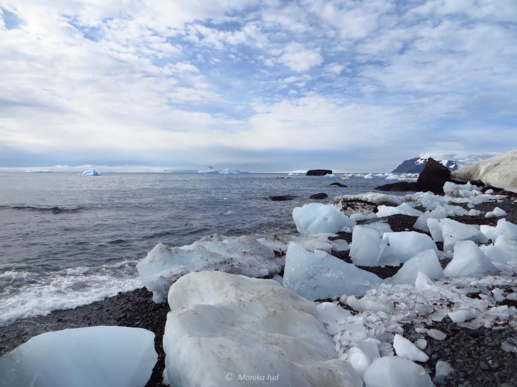 der Strand von Brown Bluff: mit Eisschollen gespickt