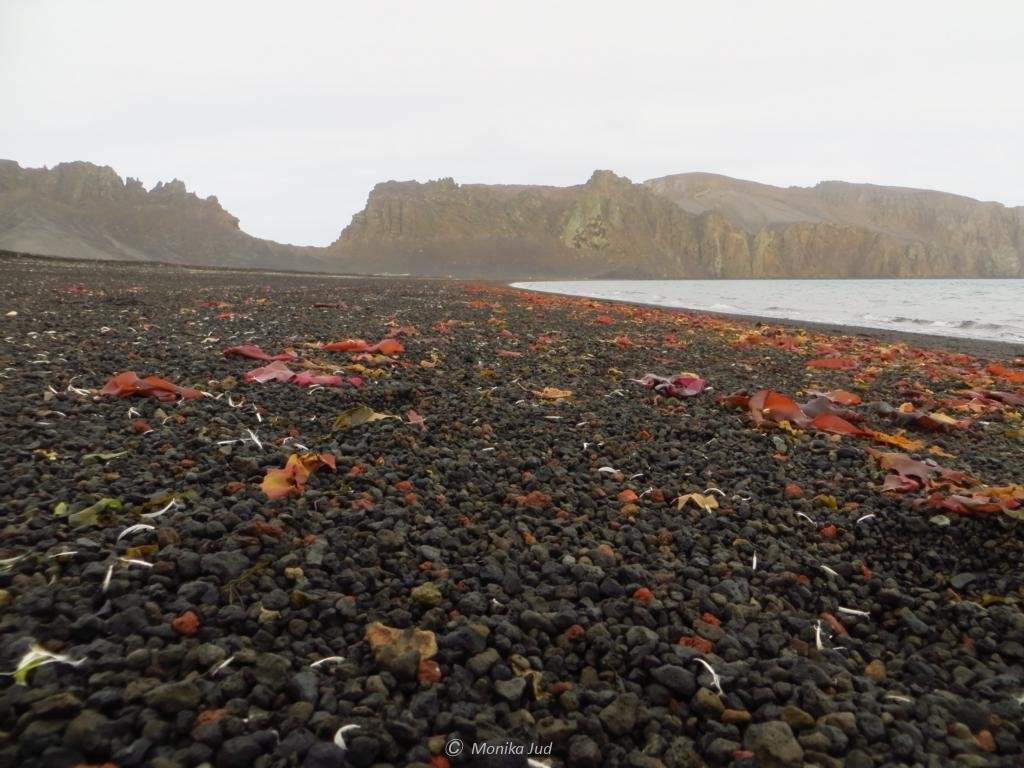 Whalers Bay auf Deception Island