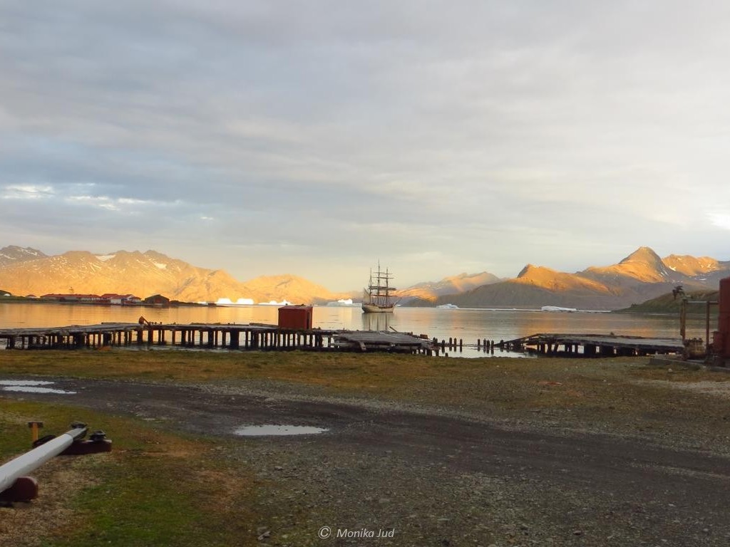 Bucht von Grytviken bei Sonnenuntergang