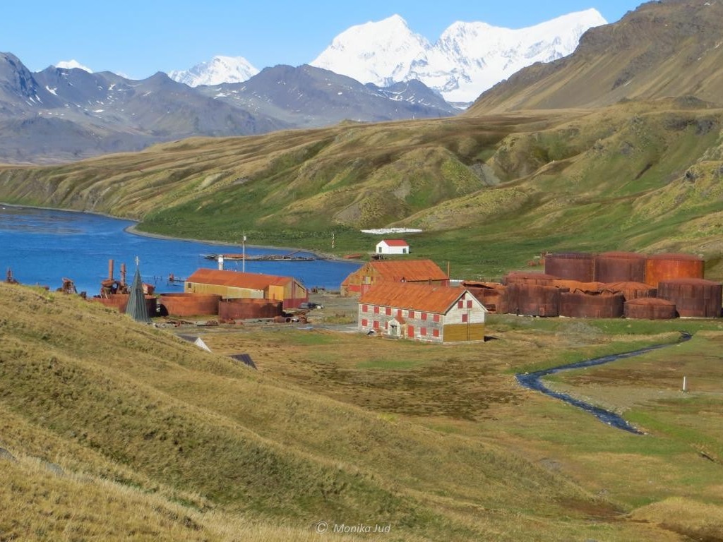 Ankunft in der Bucht von Grytviken