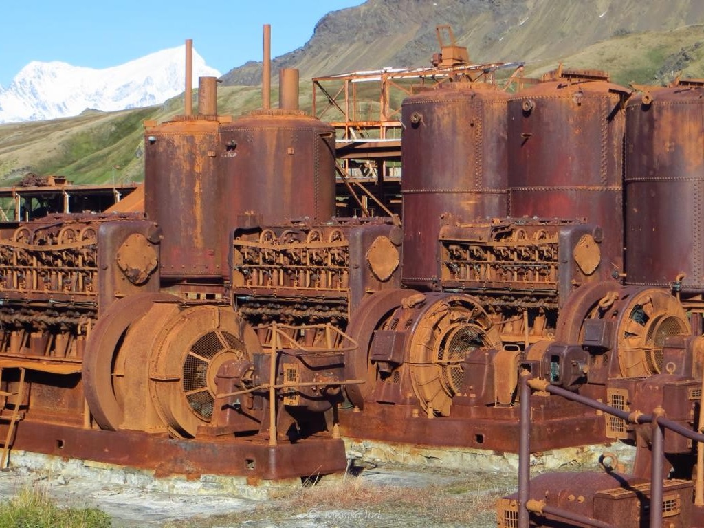 rostige Überreste - das Freilichtmuseum Grytviken