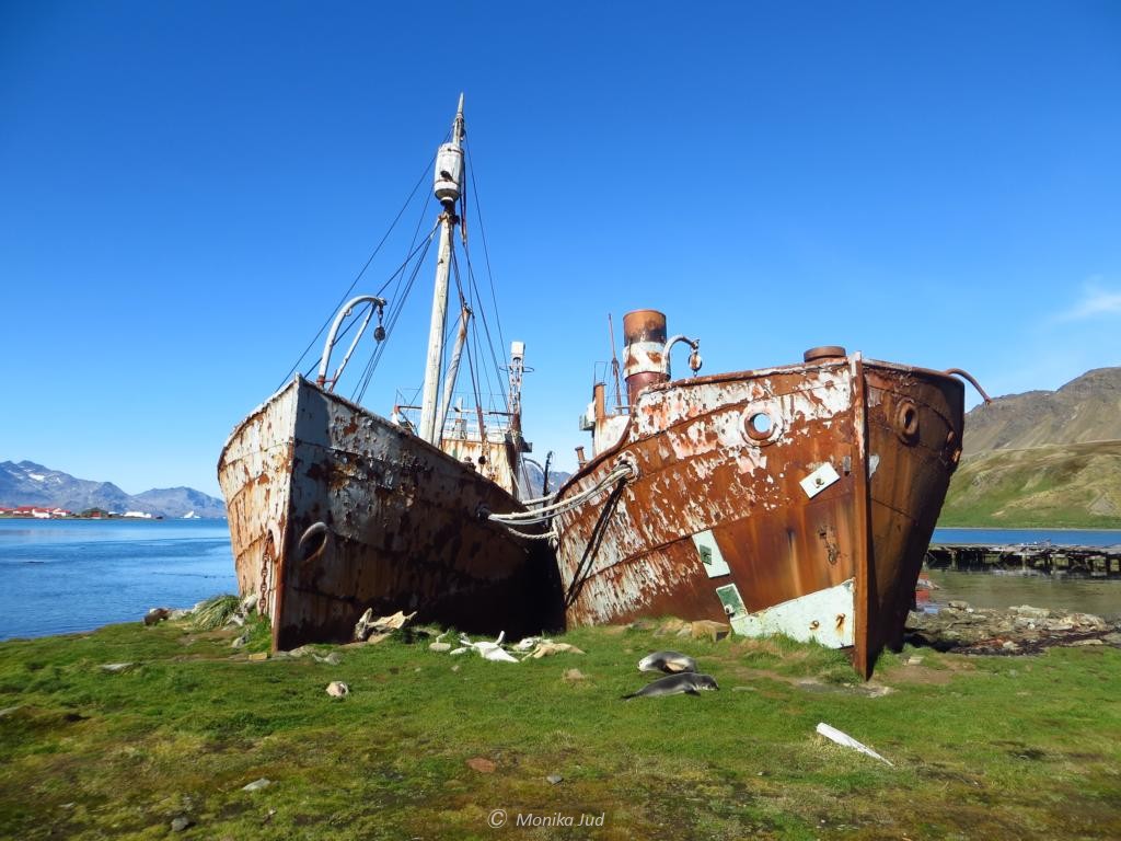 die Wracks der alten Walfangbucht Grytviken