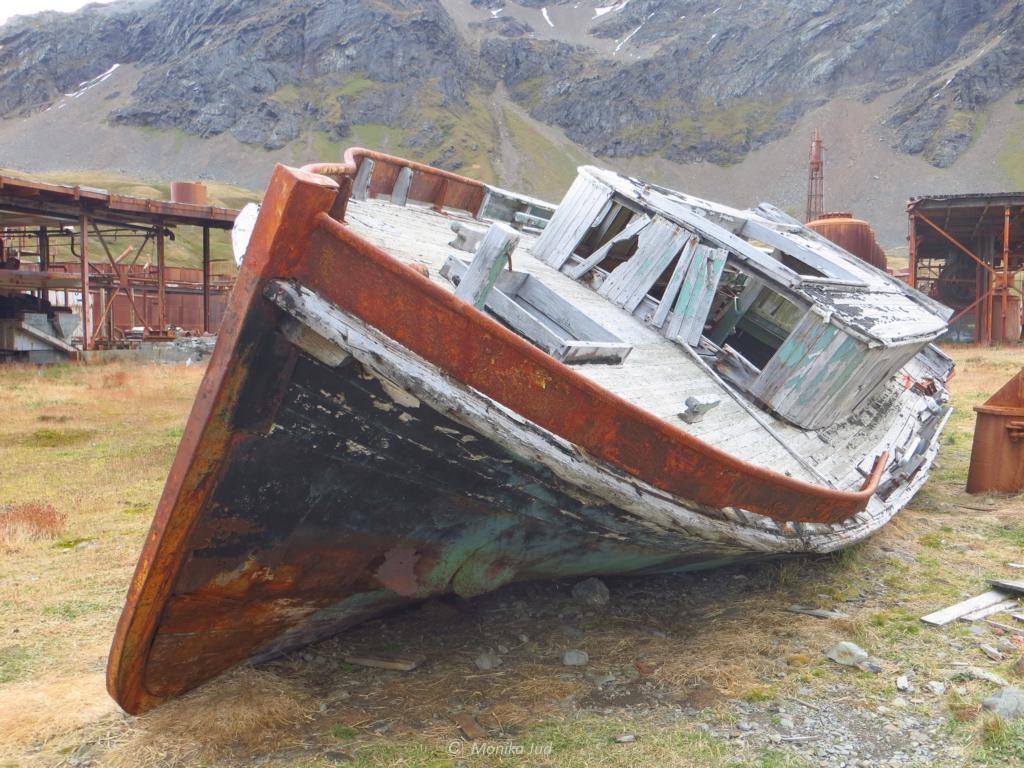 verwitterndes Boot auf Grytviken - langsam verwittern alle Überreste der alten Walfangstation