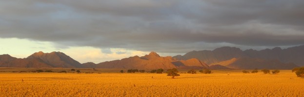 Viel Glück Namibia Favorites!